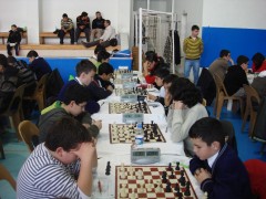 MEB_Mugla_2010_12